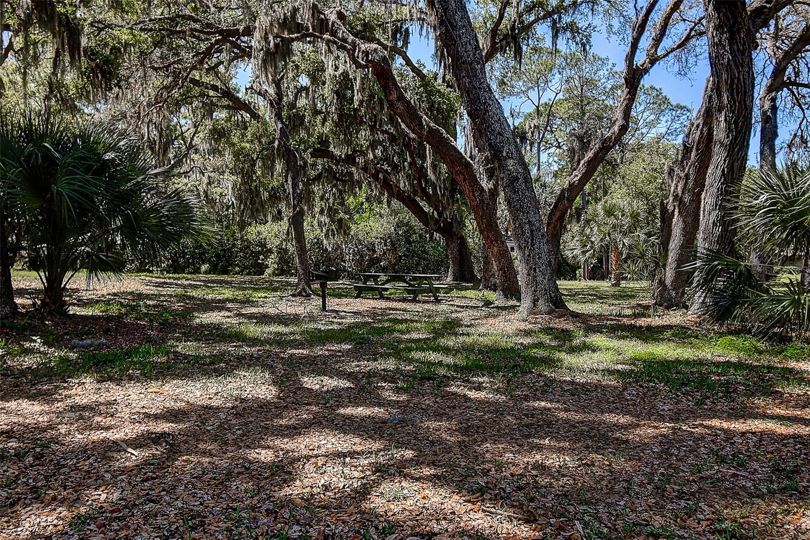 Image 35 of 47 For 215 Lighthouse Court 40215