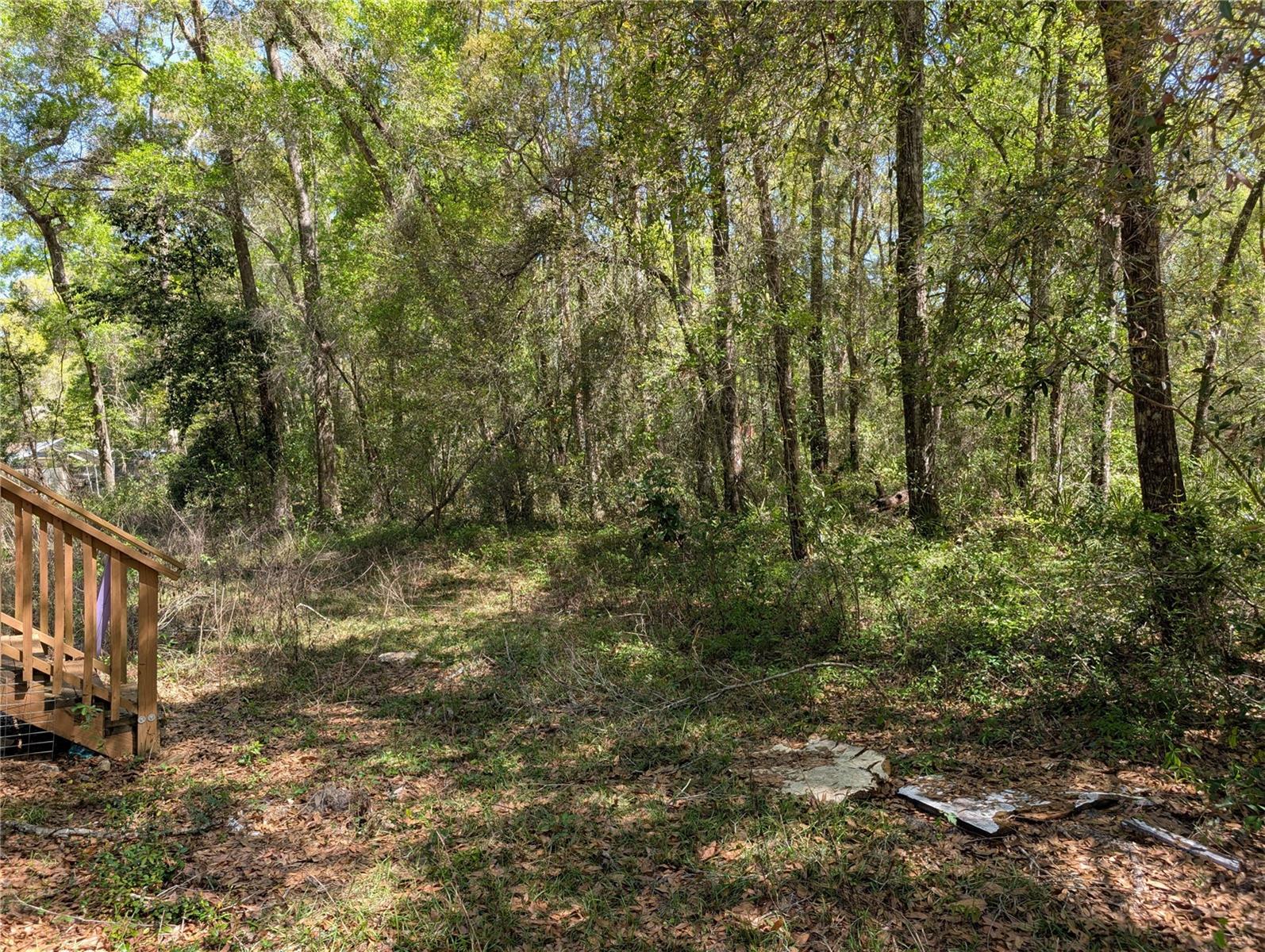 Image 12 of 15 For 8174 Adrian Drive