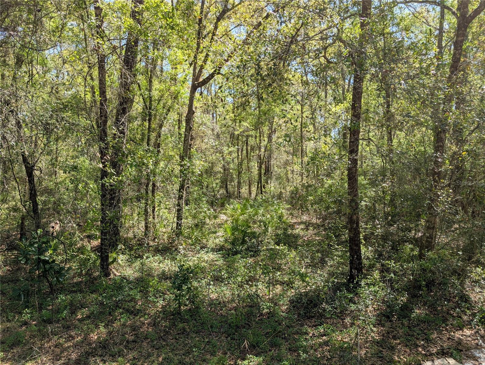 Image 13 of 15 For 8174 Adrian Drive