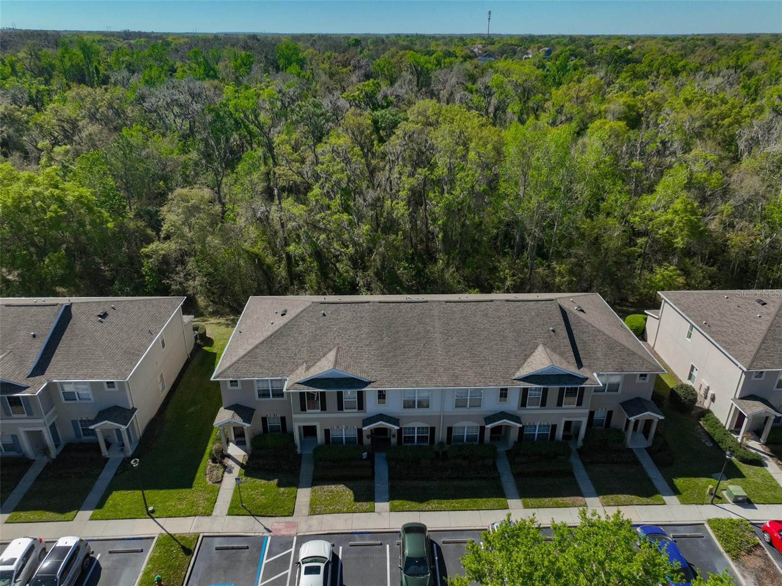 Image 30 of 53 For 15843 Fishhawk View Drive