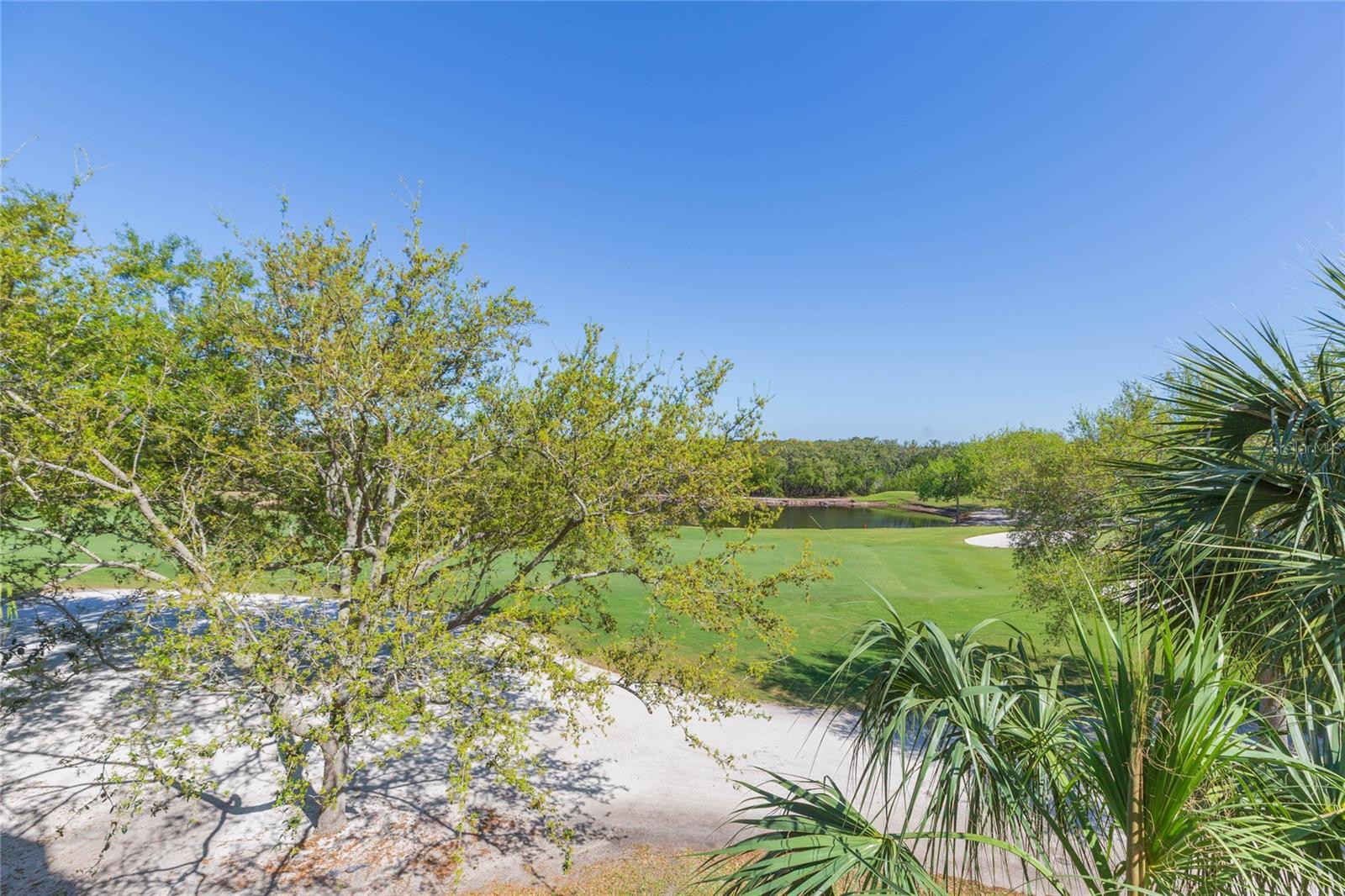 Image 21 of 35 For 2333 Feather Sound Drive A307