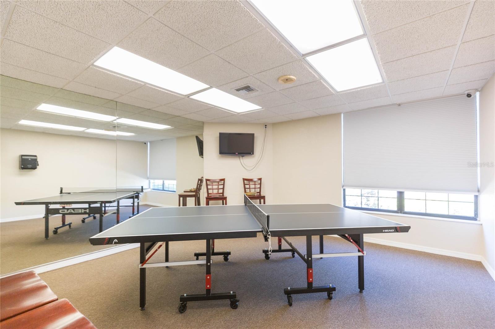 Image 31 of 35 For 2333 Feather Sound Drive A307