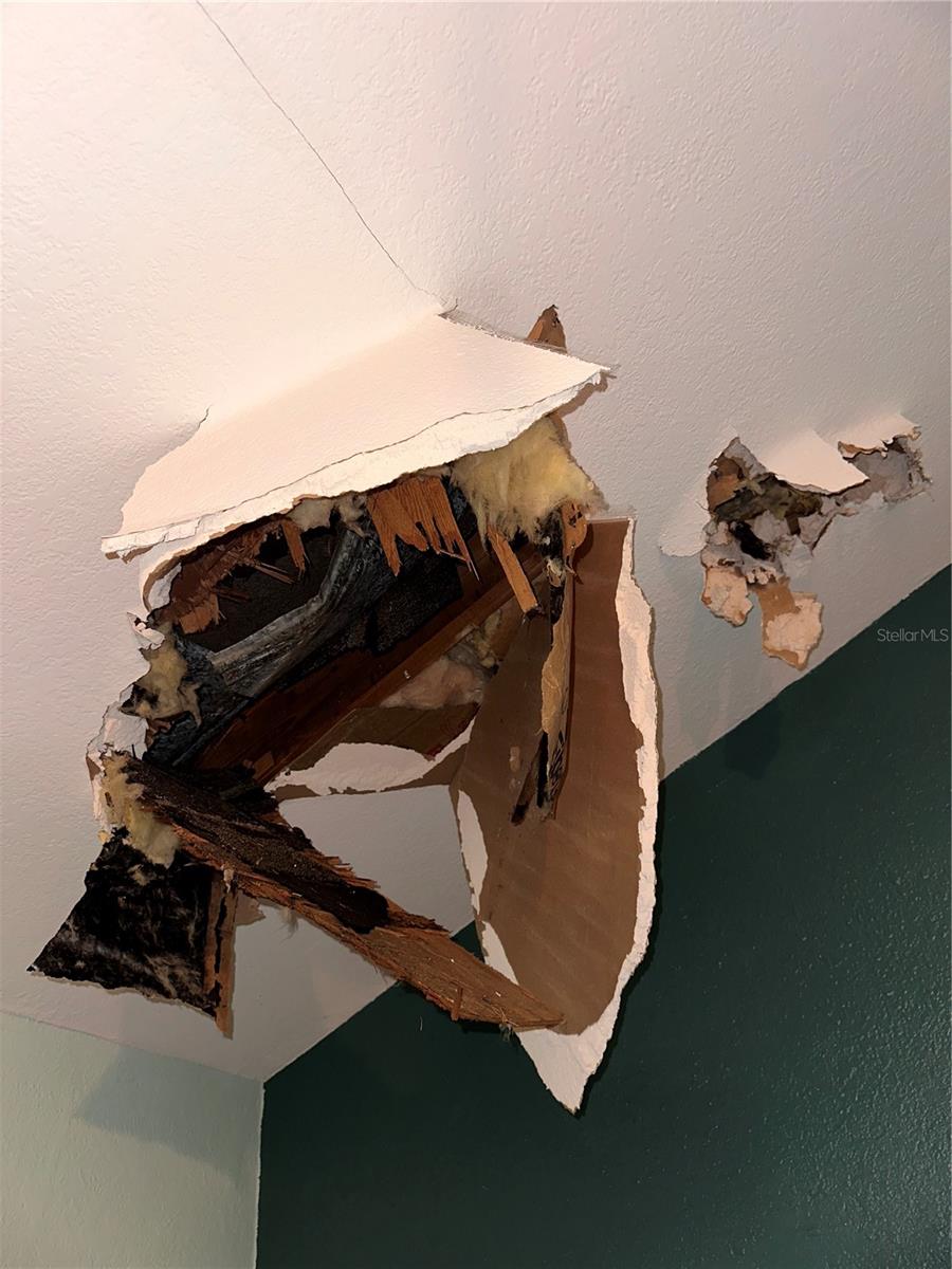 Image 20 of 28 For Address Not Provided