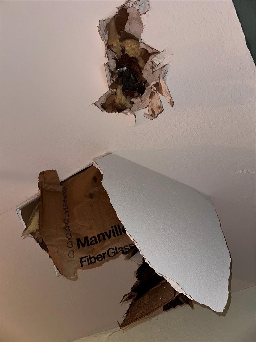 Image 21 of 28 For Address Not Provided