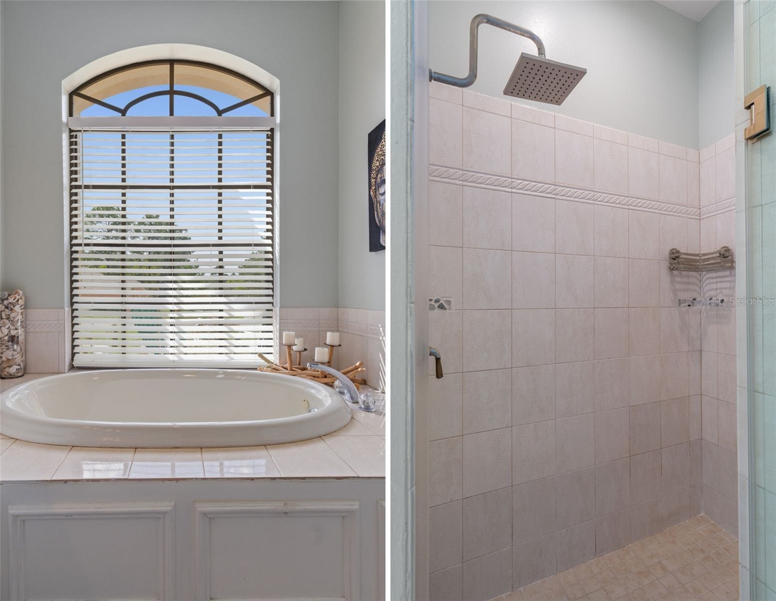 Image 31 of 54 For 46 Fringetree Street