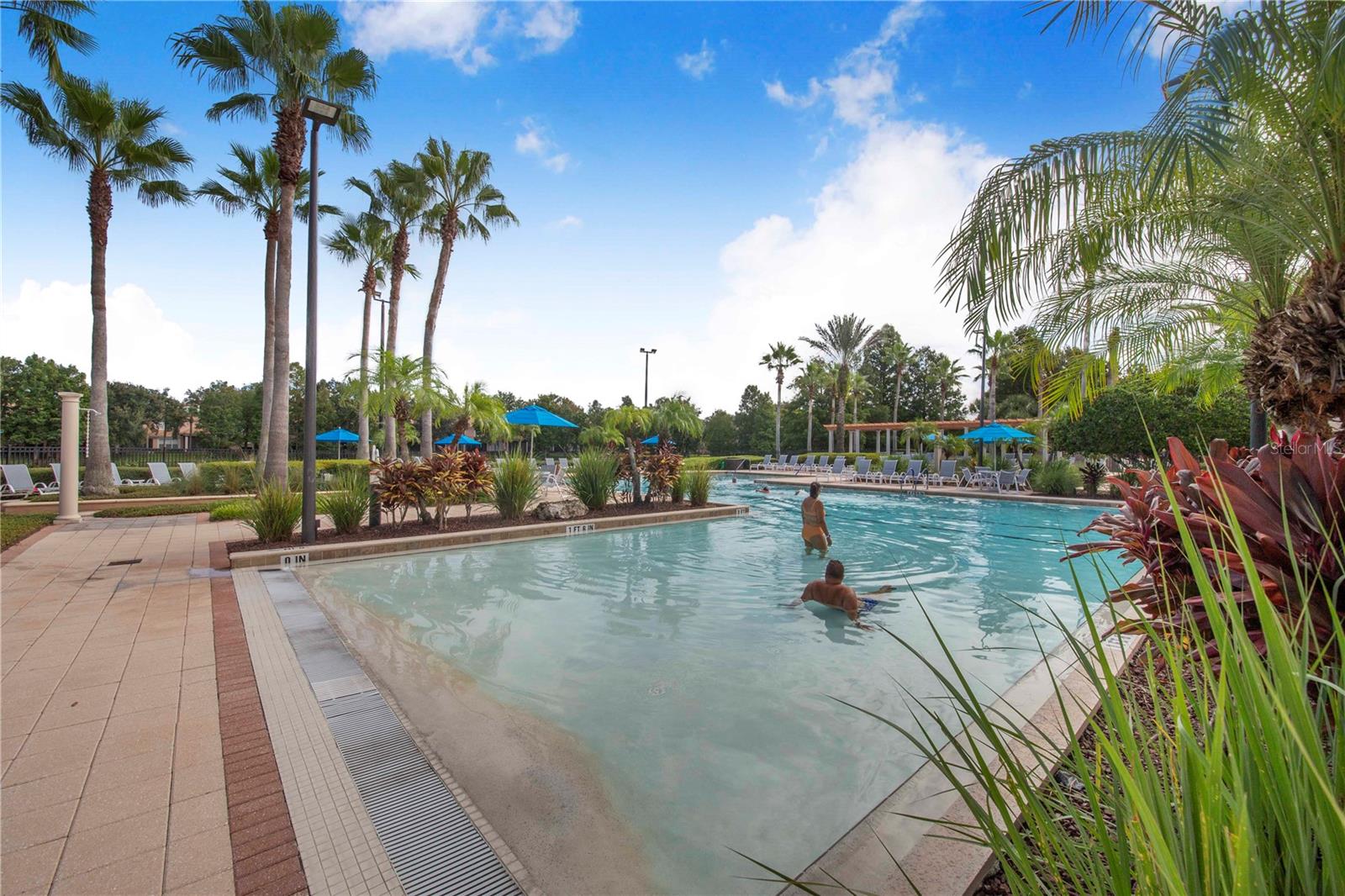 Listing photo id 46 for 1206 Romani Avenue