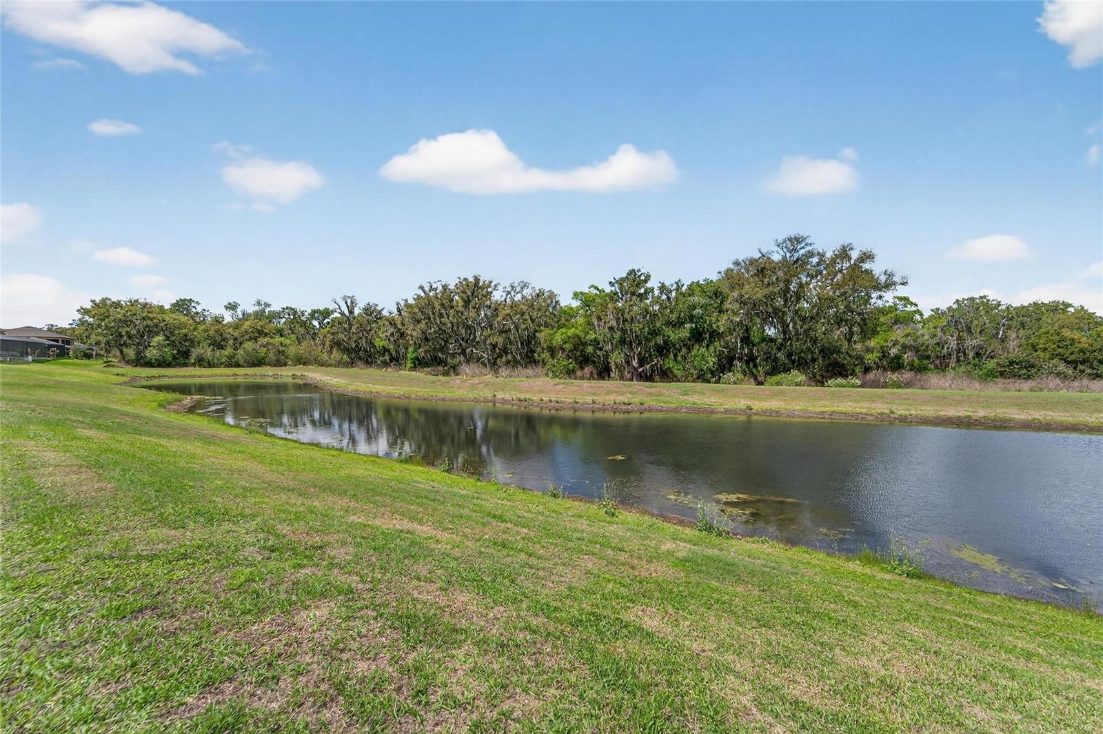 Listing photo id 14 for 13209 Wildflower Meadow Drive