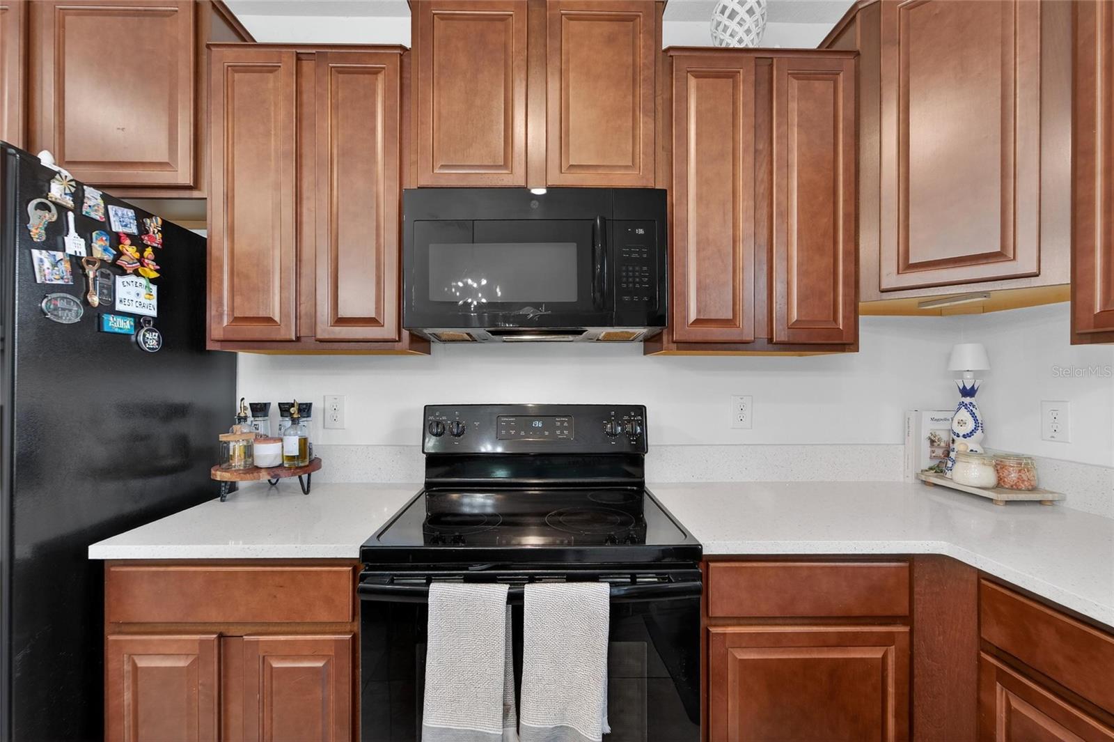 Listing photo id 37 for 13209 Wildflower Meadow Drive