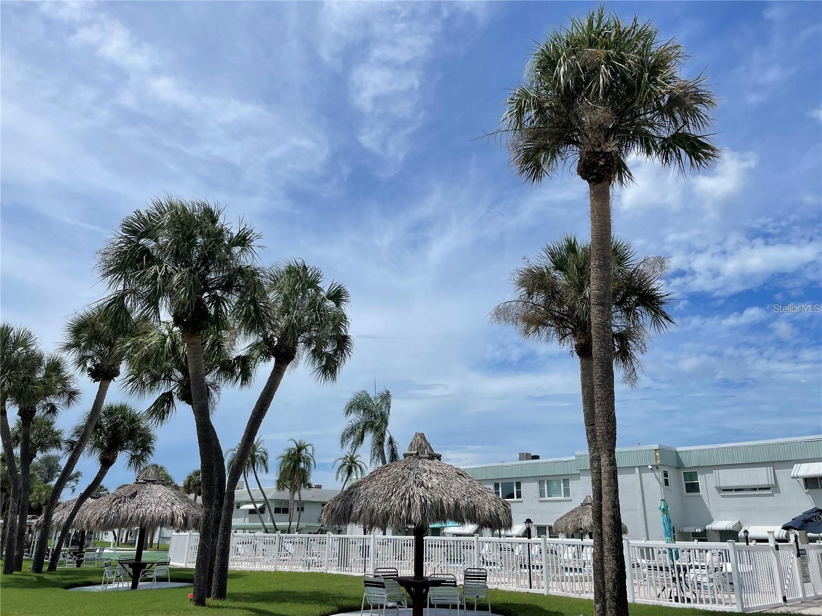 Image 22 of 36 For 5357 81st Street N 24