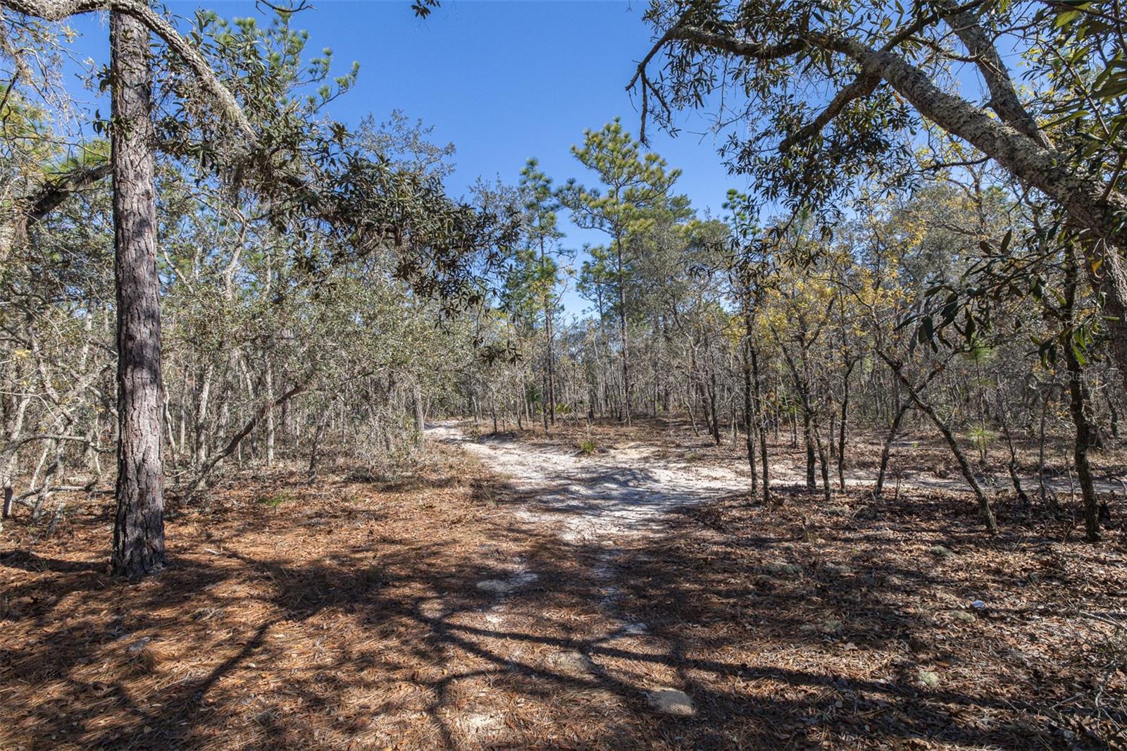 Image 10 of 15 For 4845 Herman Court