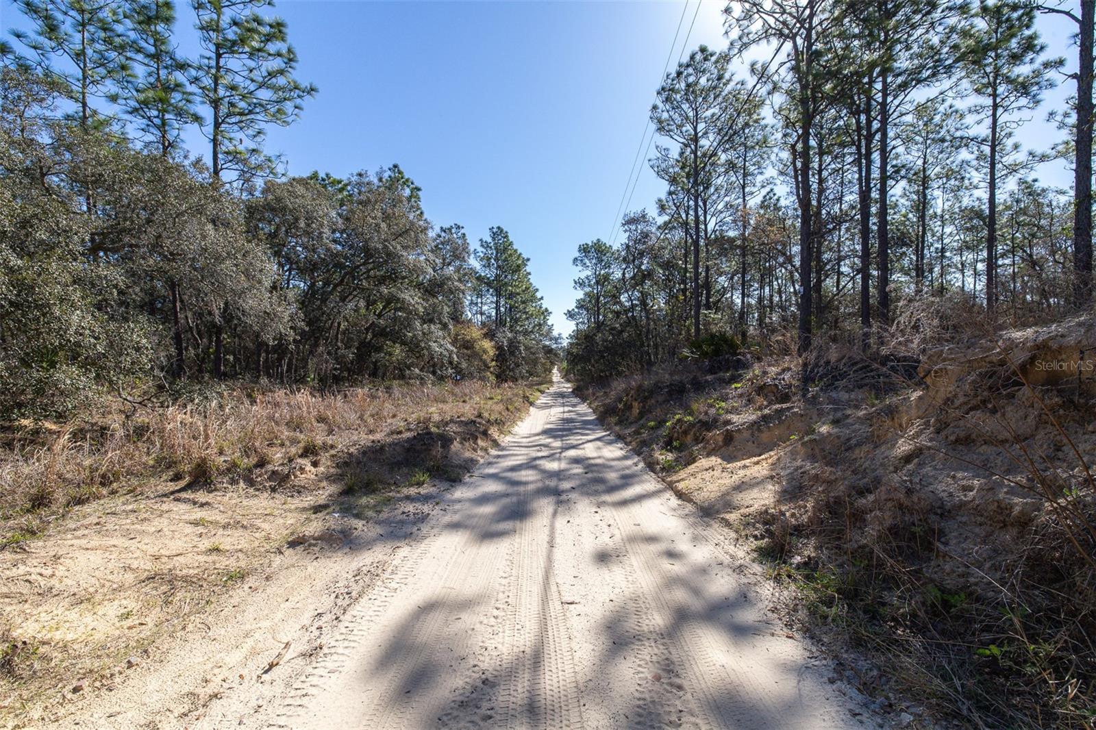 Image 11 of 15 For 4845 Herman Court