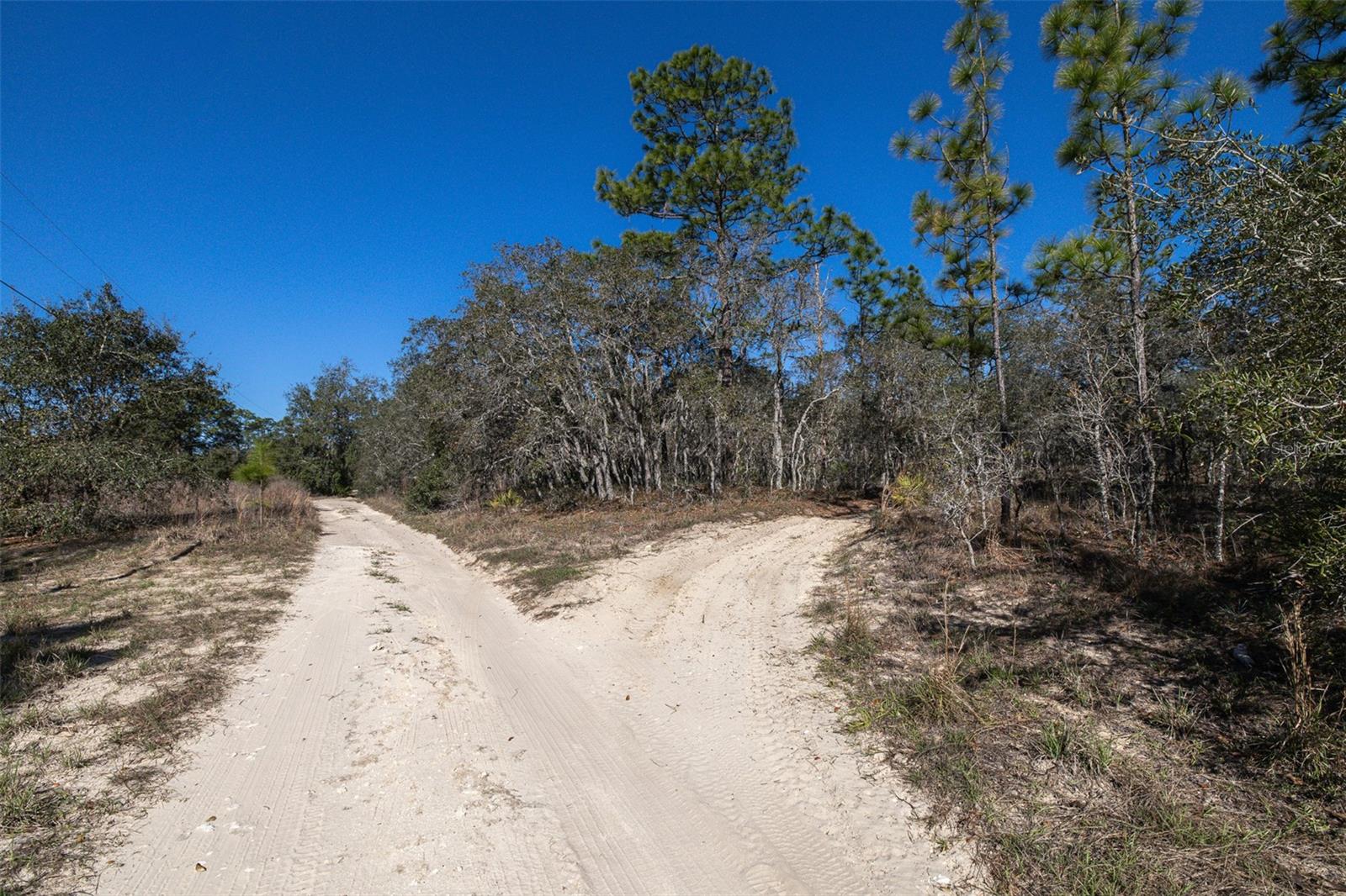 Image 6 of 15 For 4845 Herman Court