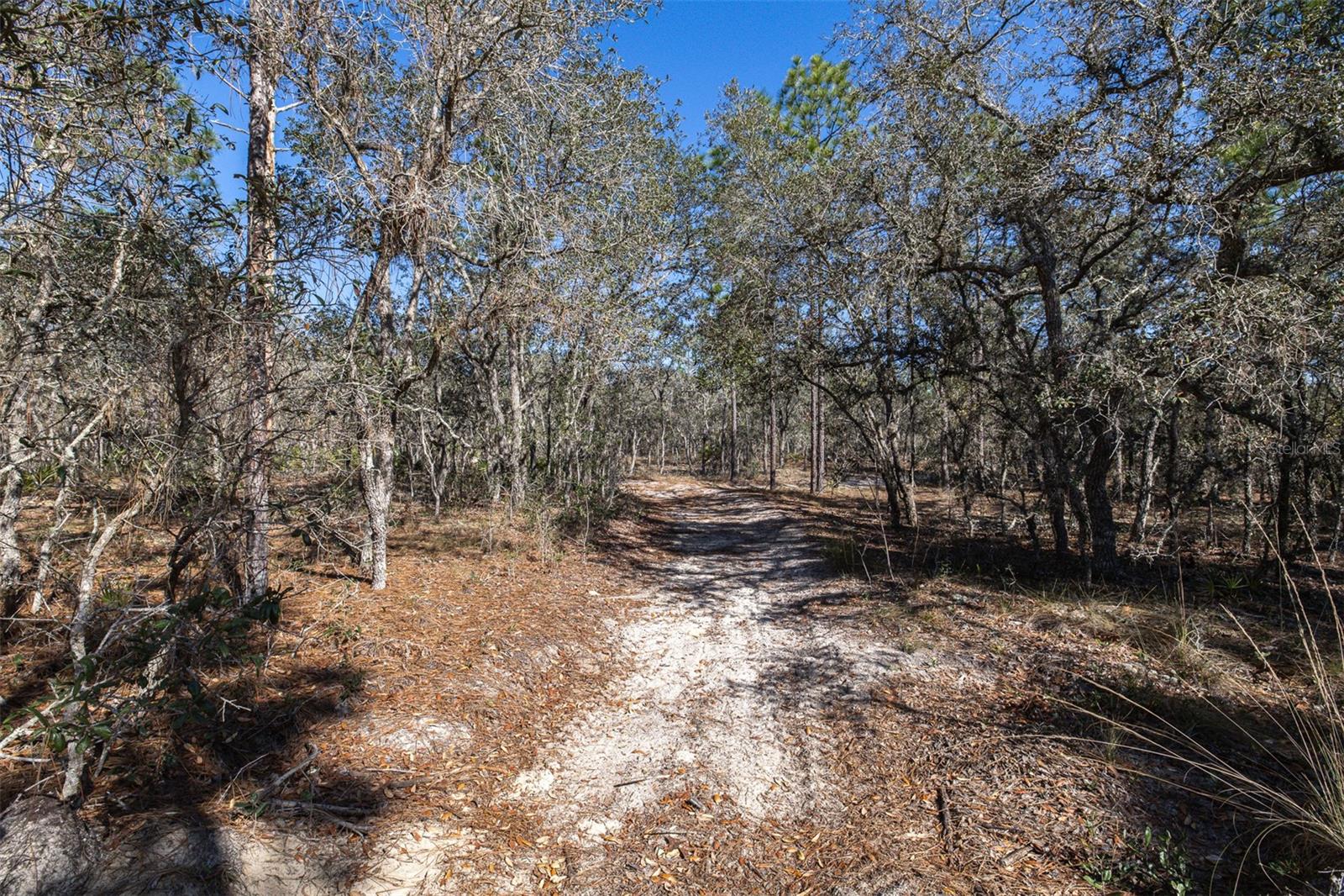 Image 7 of 15 For 4845 Herman Court