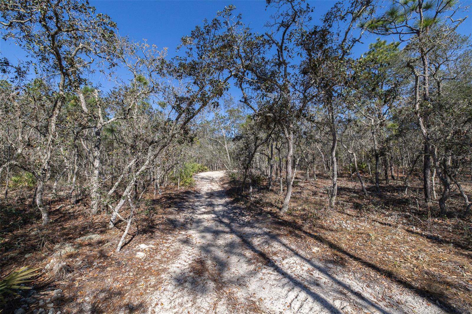 Image 8 of 15 For 4845 Herman Court