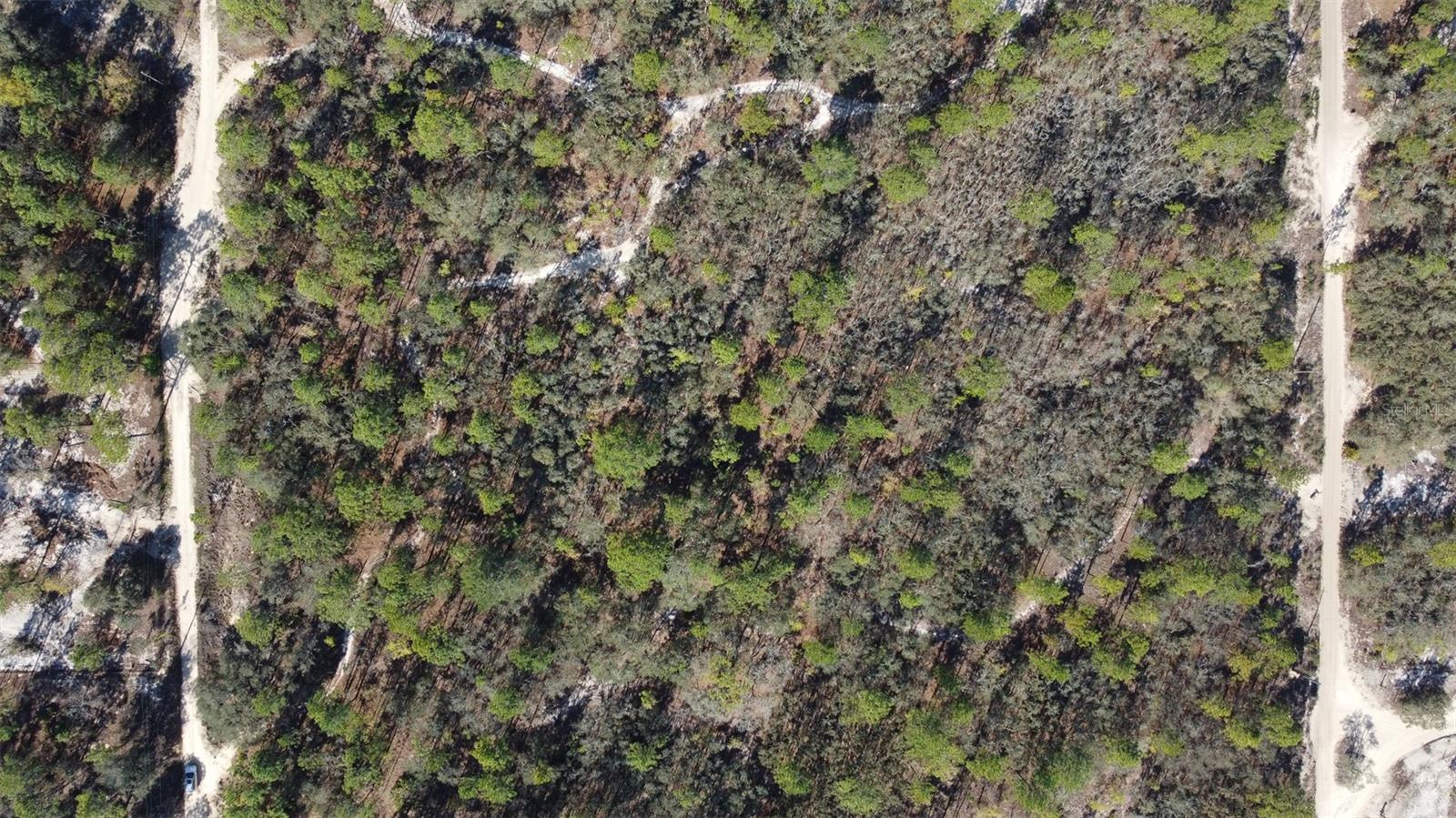 Image 12 of 14 For 4771 Herman Court