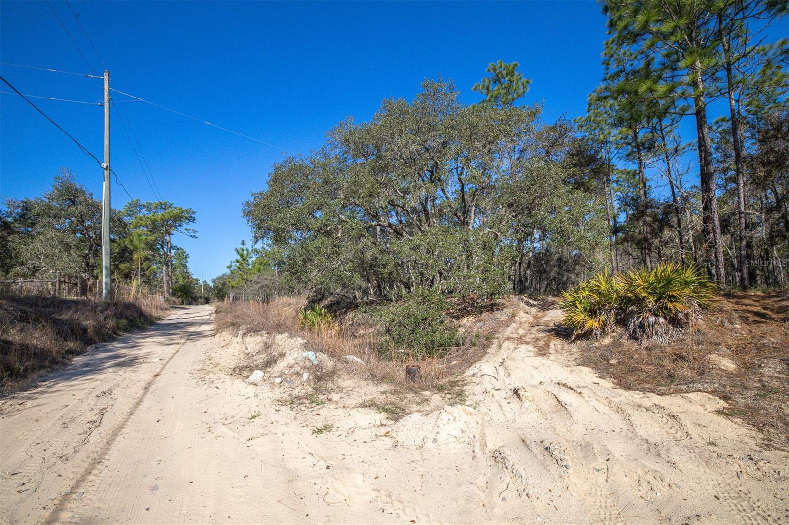 Image 6 of 14 For 4771 Herman Court