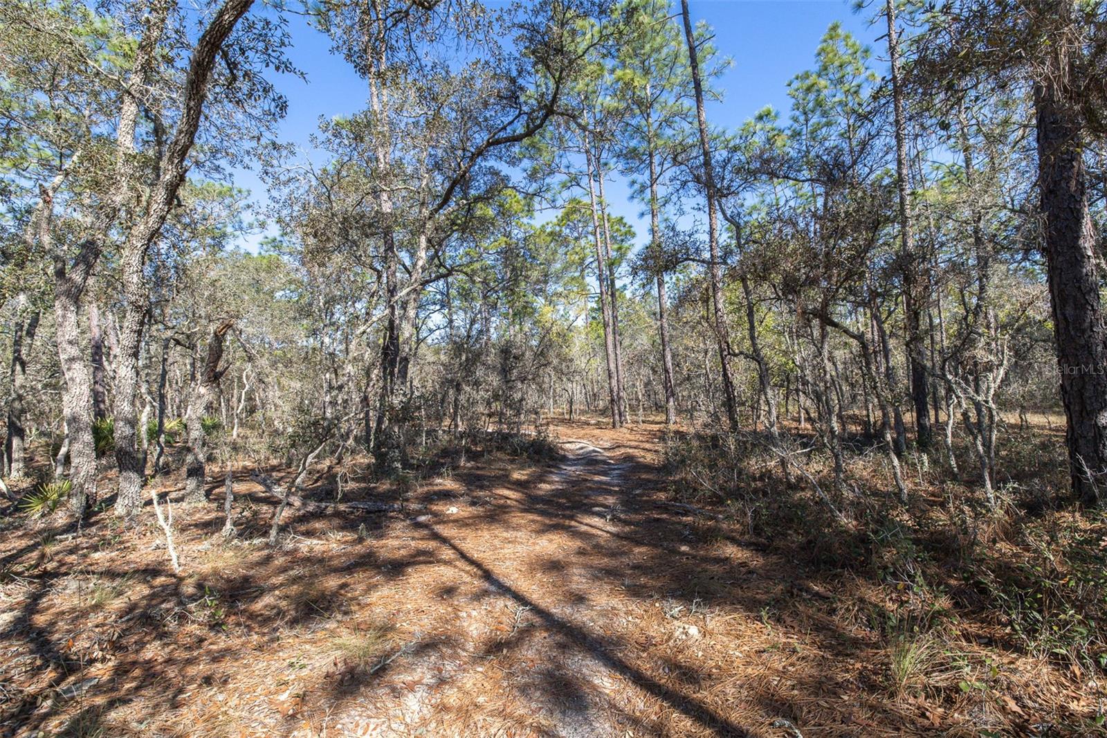 Image 7 of 14 For 4771 Herman Court