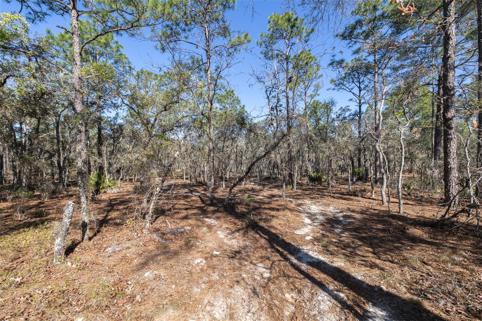 Image 8 of 14 For 4771 Herman Court