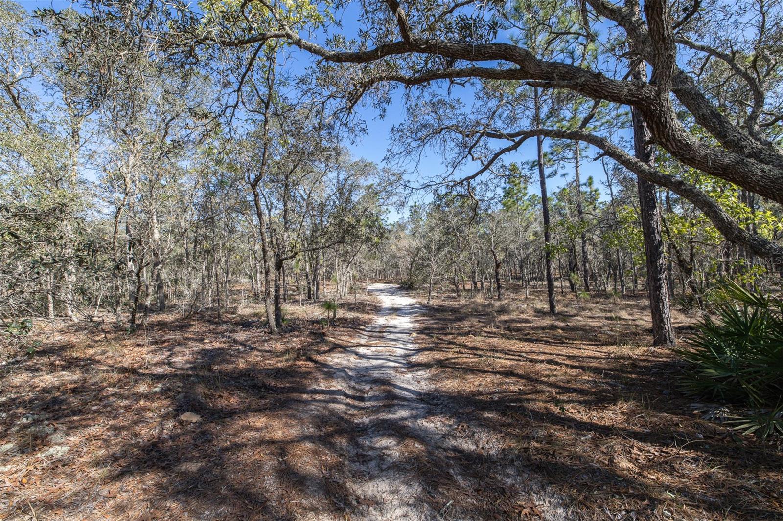 Image 9 of 14 For 4771 Herman Court