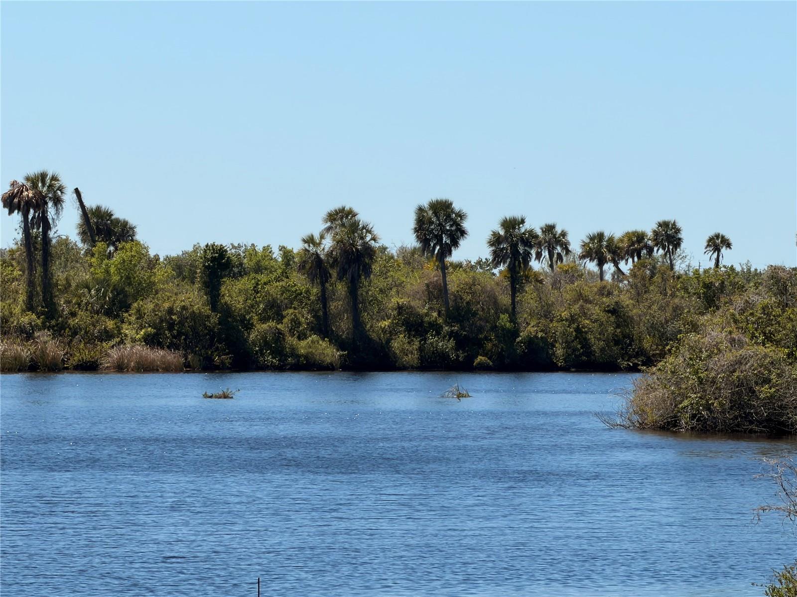 Image 12 of 13 For 31073 Peace Street