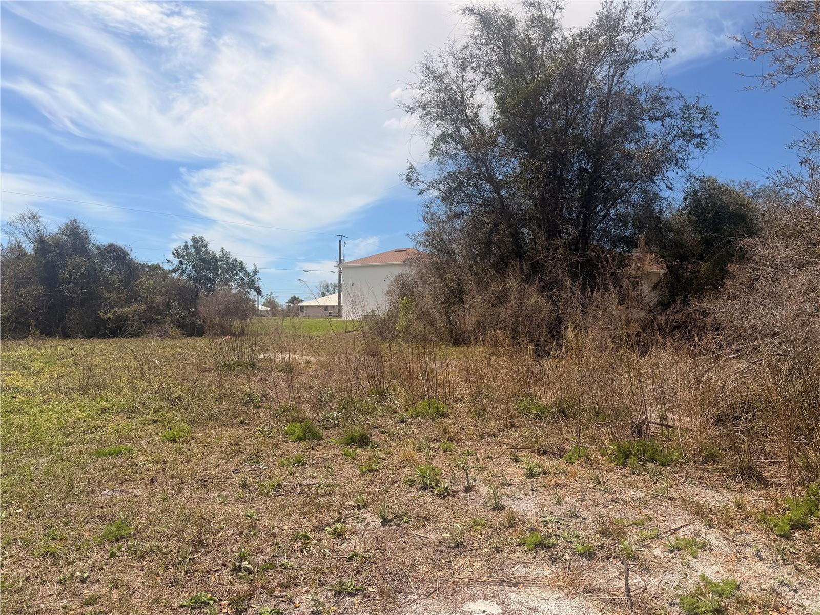 Image 5 of 13 For 31073 Peace Street