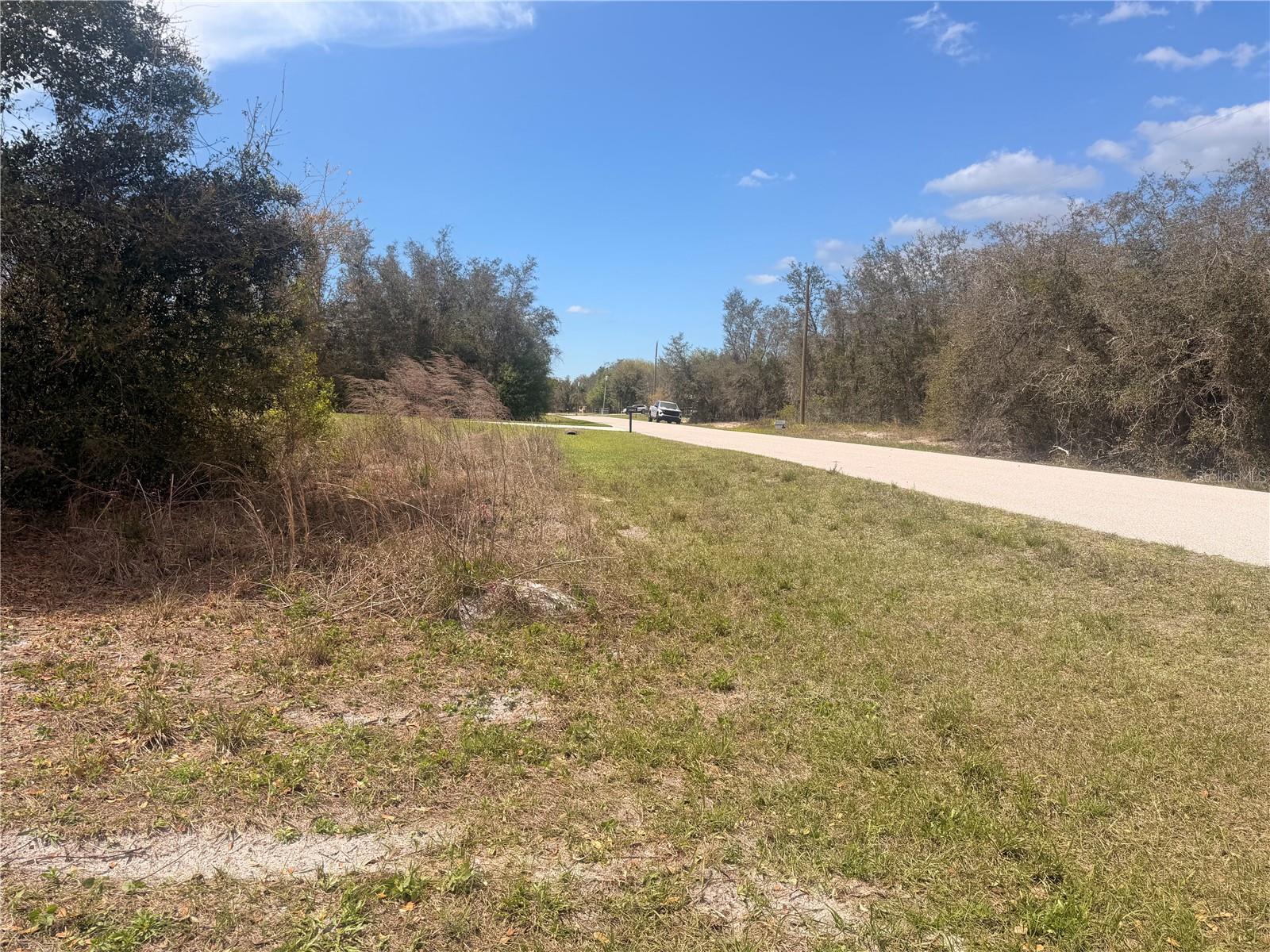 Image 7 of 13 For 31073 Peace Street