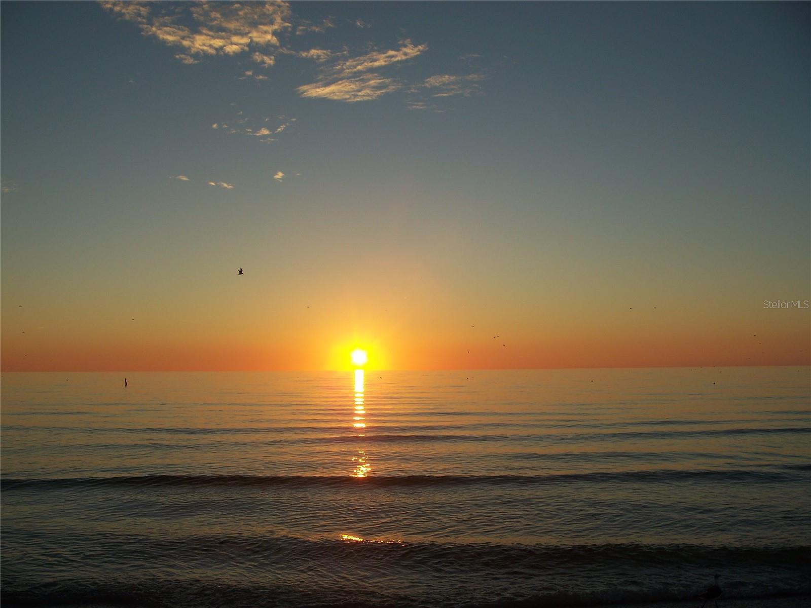 Image 42 of 44 For 4450 Gulf Boulevard 110