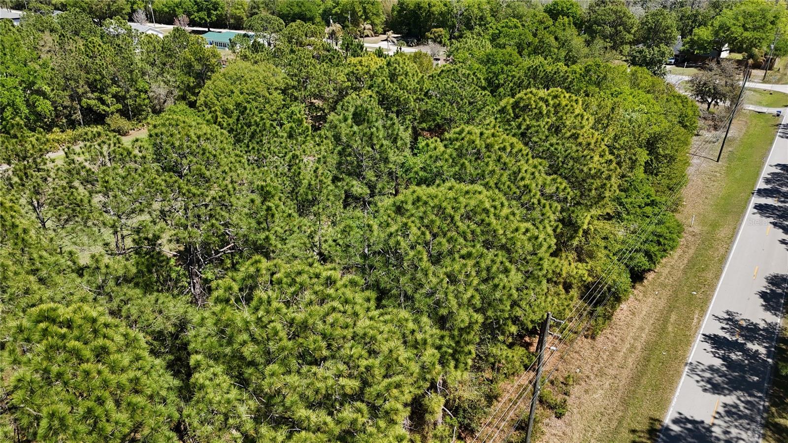 Image 4 of 6 For Pine Lands Dr