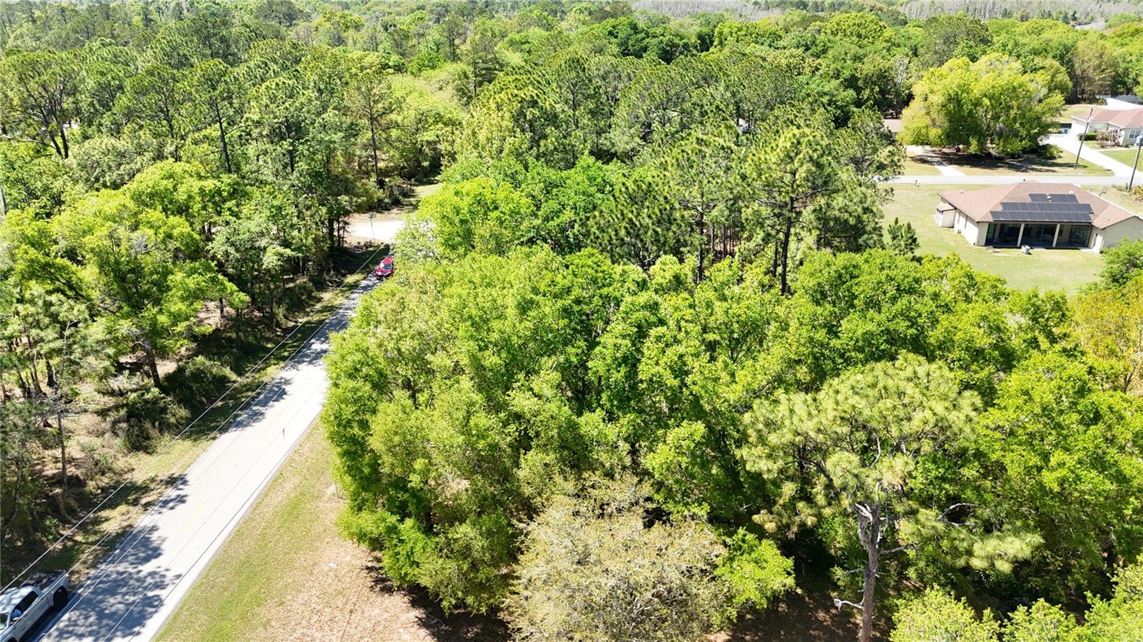 Image 5 of 6 For Pine Lands Dr