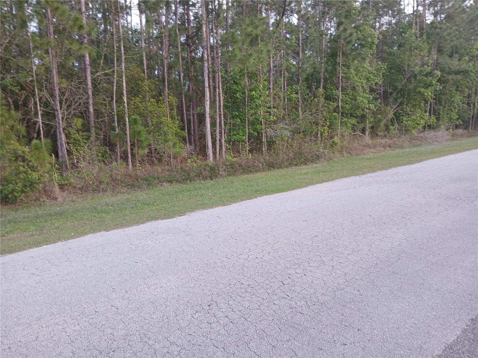 Image 11 of 16 For 1102 Hidden Palms Drive