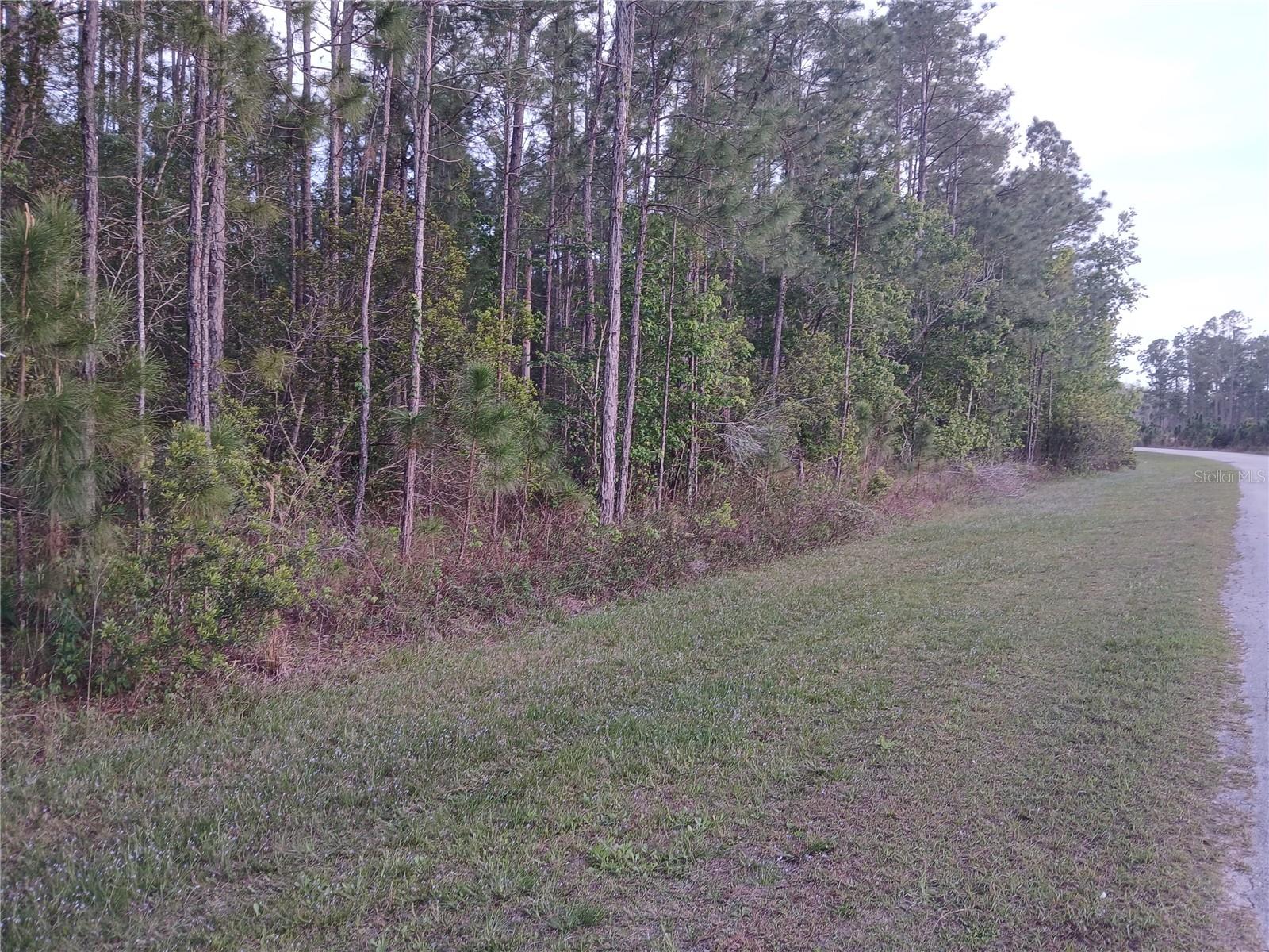 Image 6 of 16 For 1102 Hidden Palms Drive