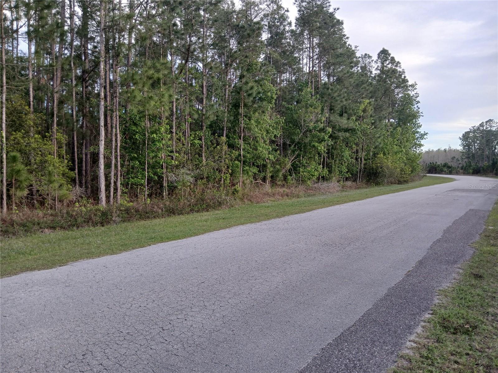 Image 8 of 16 For 1102 Hidden Palms Drive