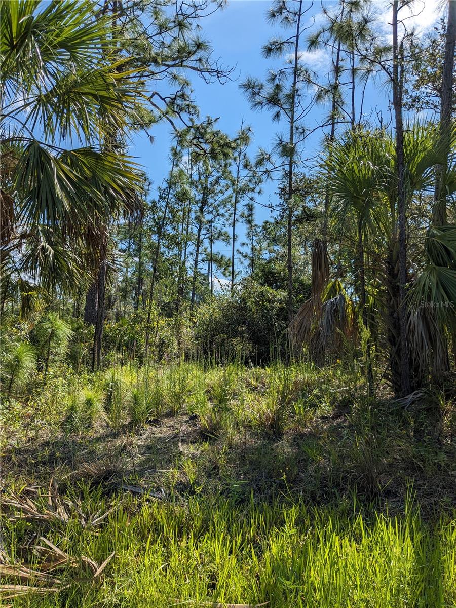 Image 2 of 6 For 492 Biscayne Drive