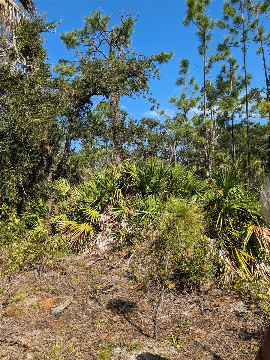 Image 3 of 6 For 492 Biscayne Drive