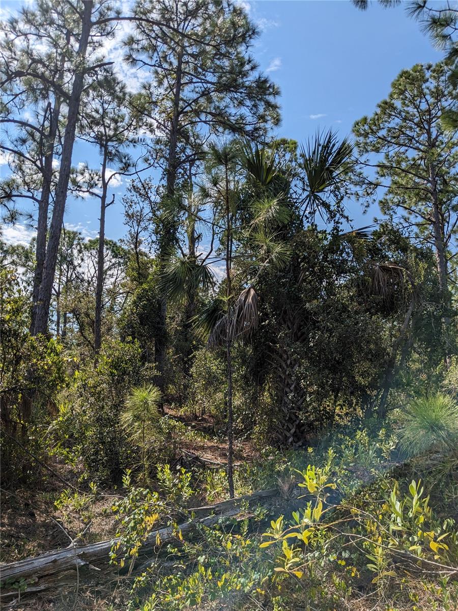 Image 5 of 6 For 492 Biscayne Drive