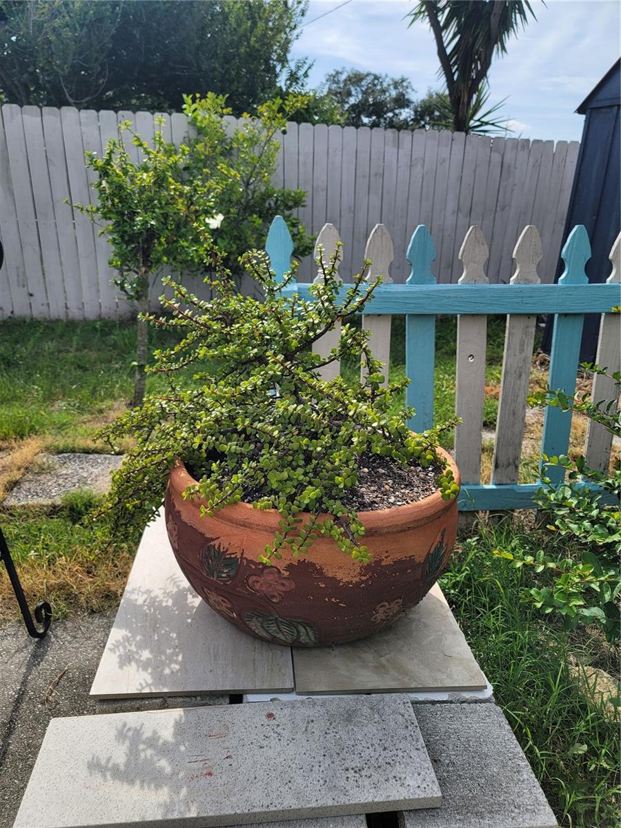 Image 27 of 40 For 9826 Lehigh Drive