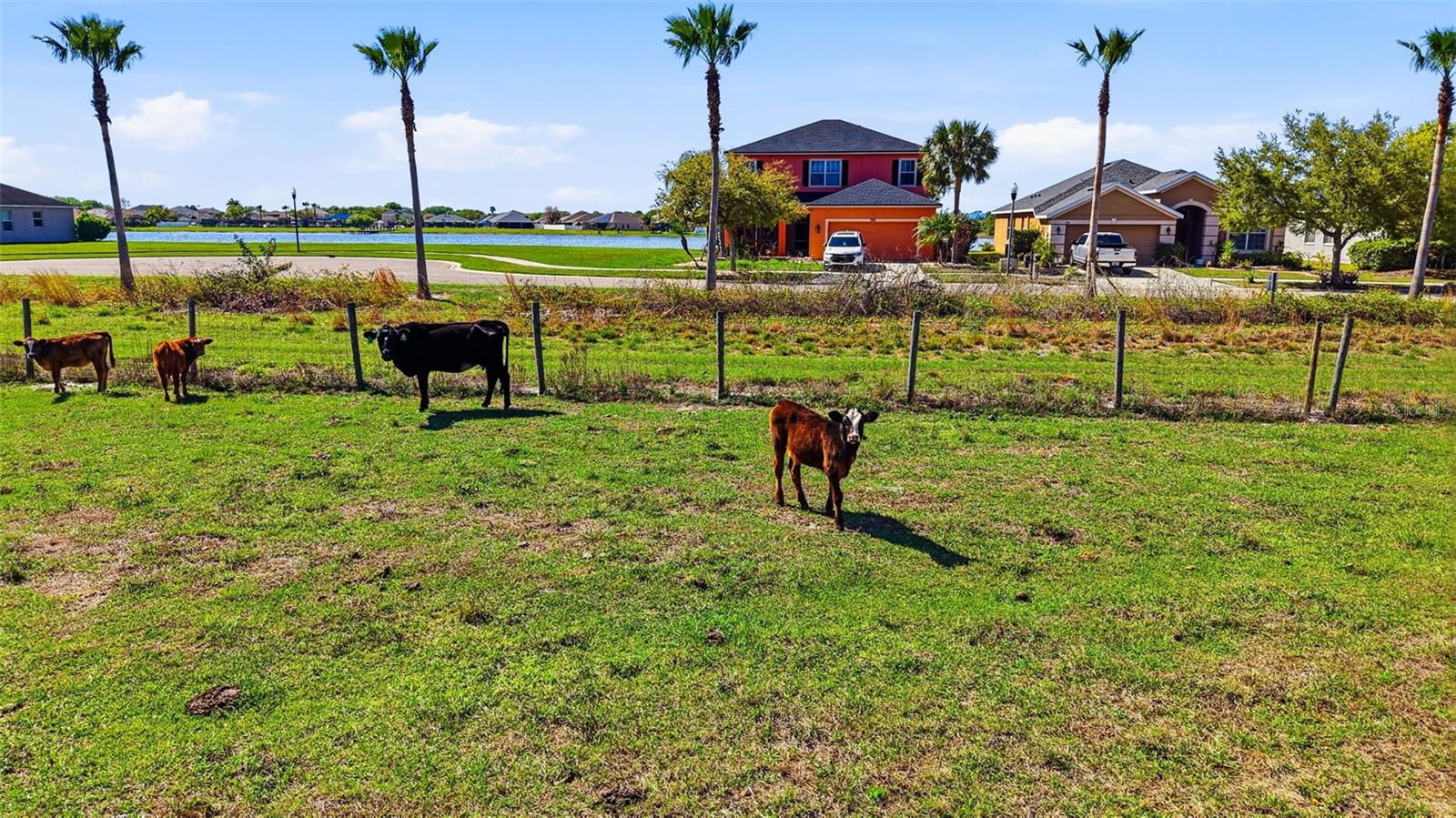 Image 48 of 60 For 714 Tanana Fall Drive