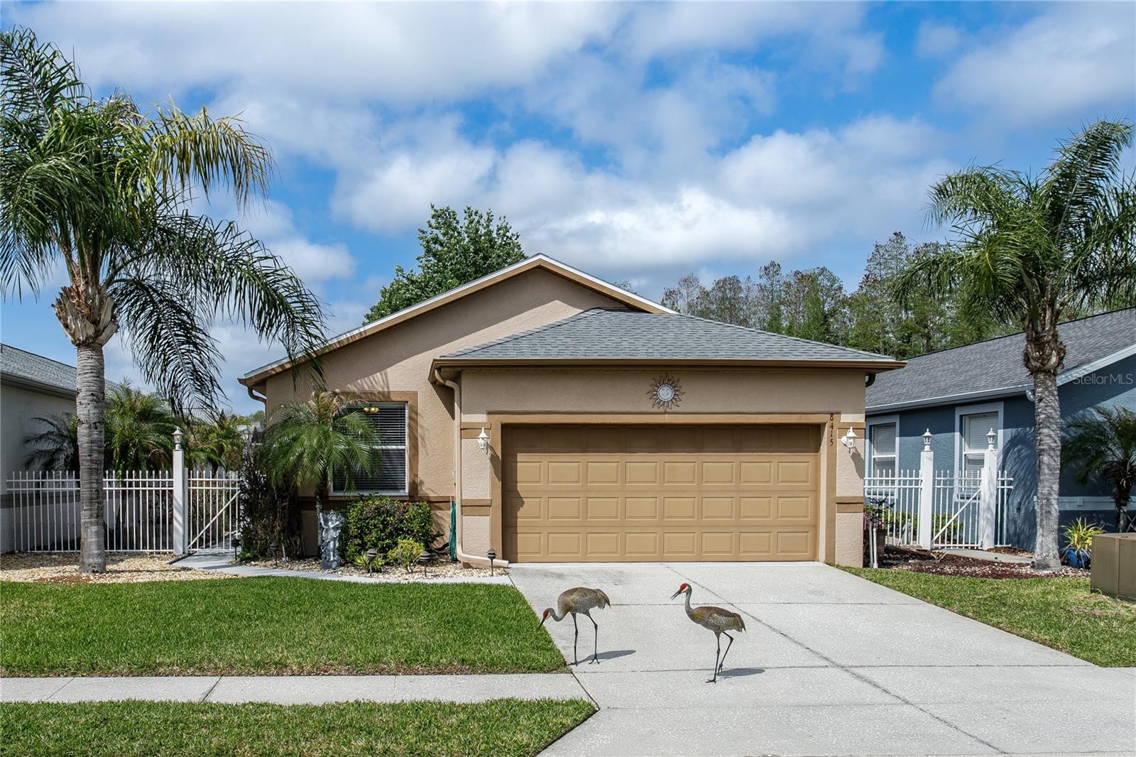 Details for 8415 Tarocco Court, LAND O LAKES, FL 34637
