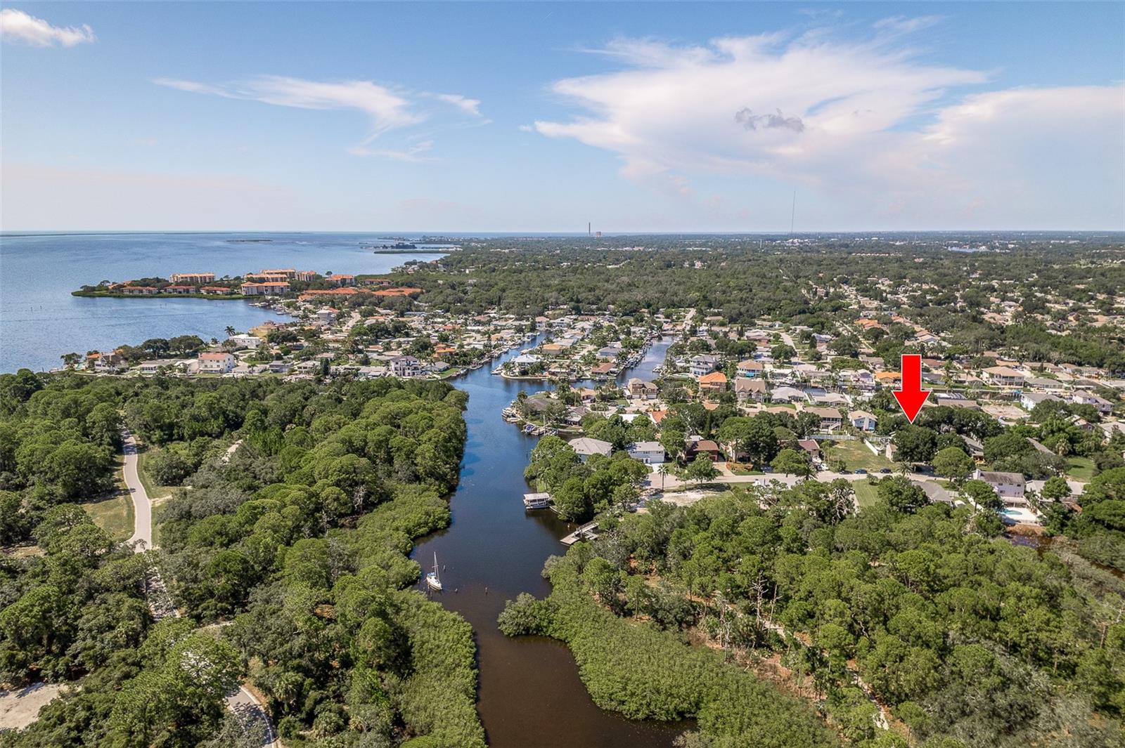 Details for 14 Baywood Drive, PALM HARBOR, FL 34683