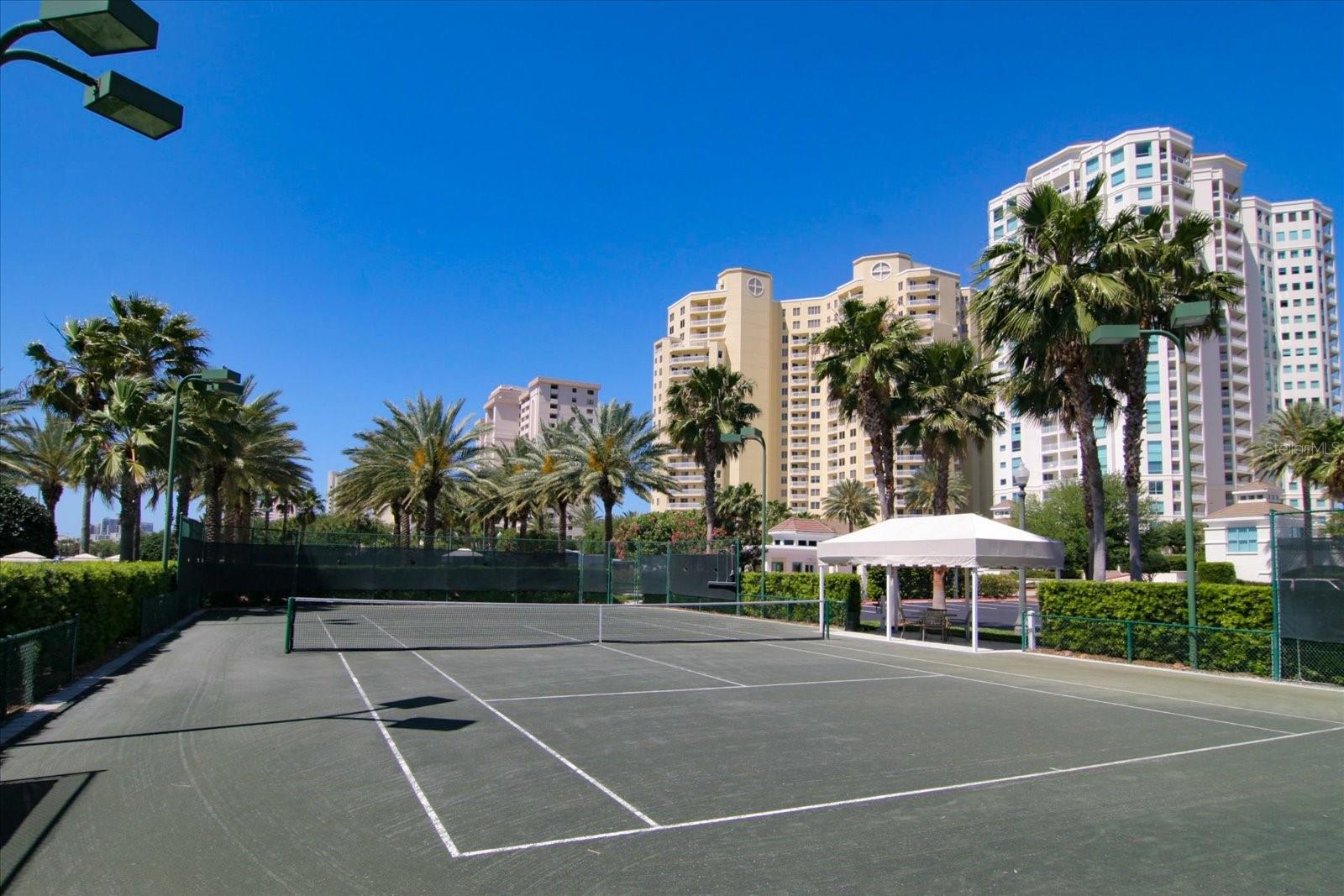 Image 42 of 43 For 1170 Gulf Boulevard 605