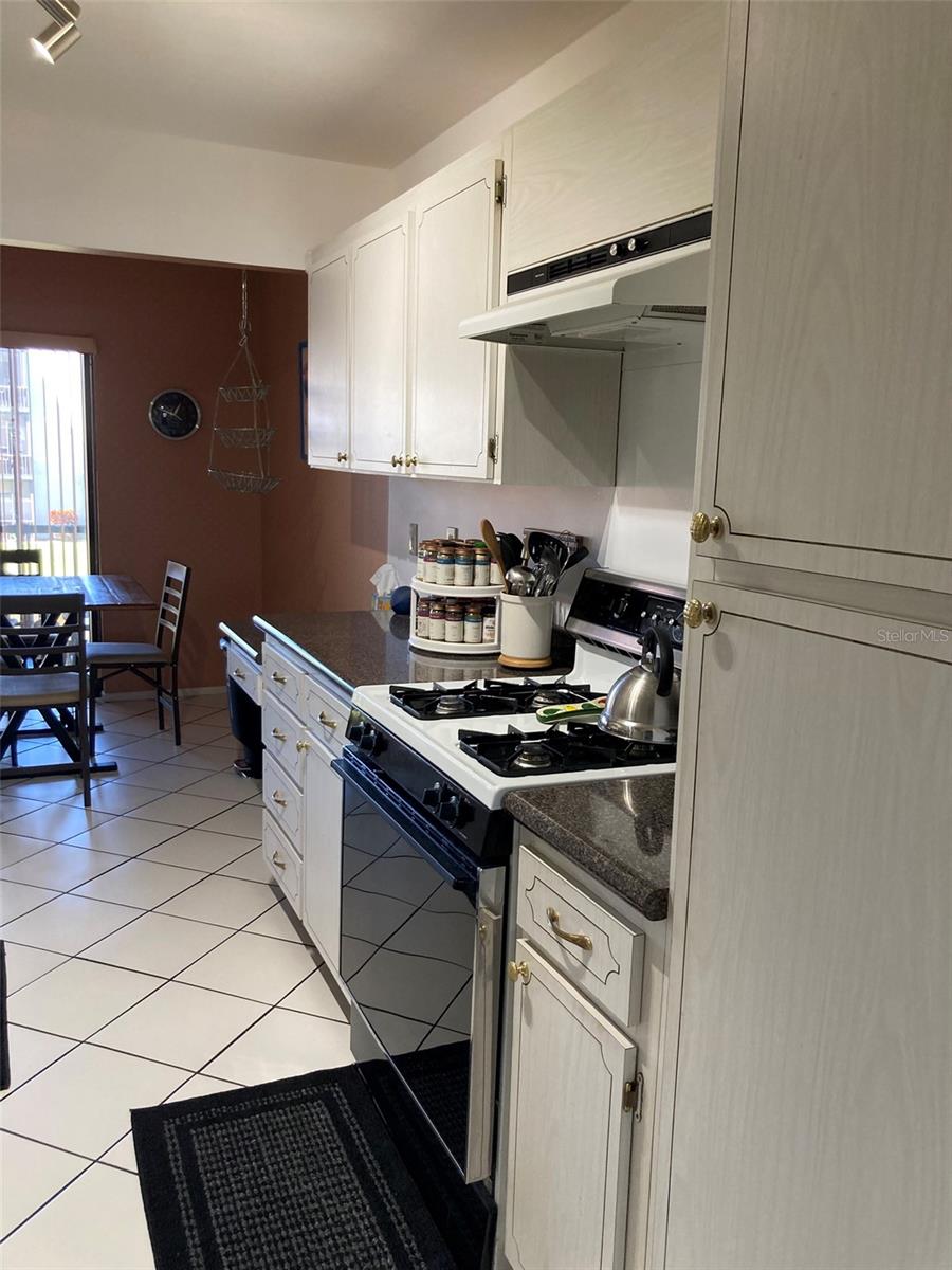 Image 12 of 69 For 5980 Terrace Park Drive N 203