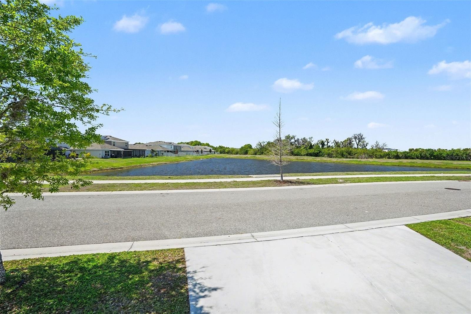 Image 39 of 44 For 12068 Downy Birch Drive