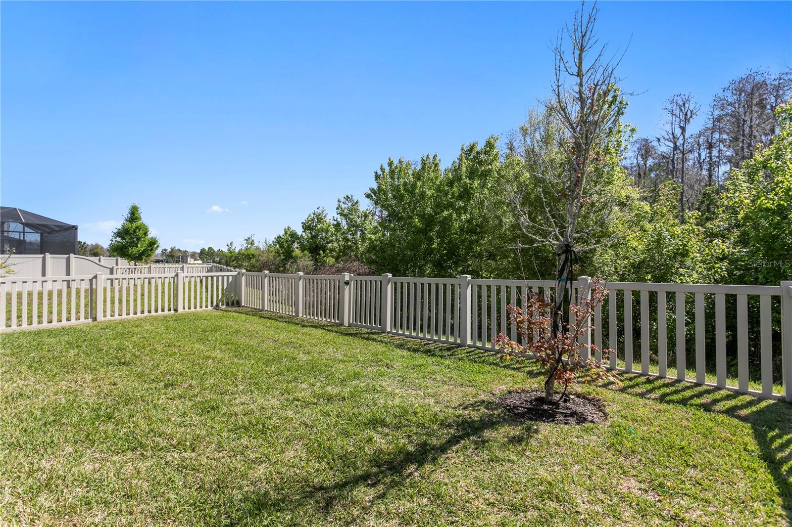 Image 41 of 55 For 10813 Windswept Garden Way