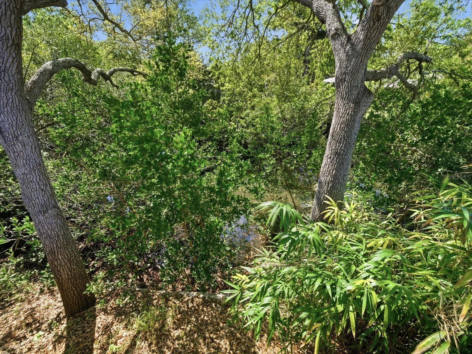 Image 53 of 66 For 1316 Kennywood Drive