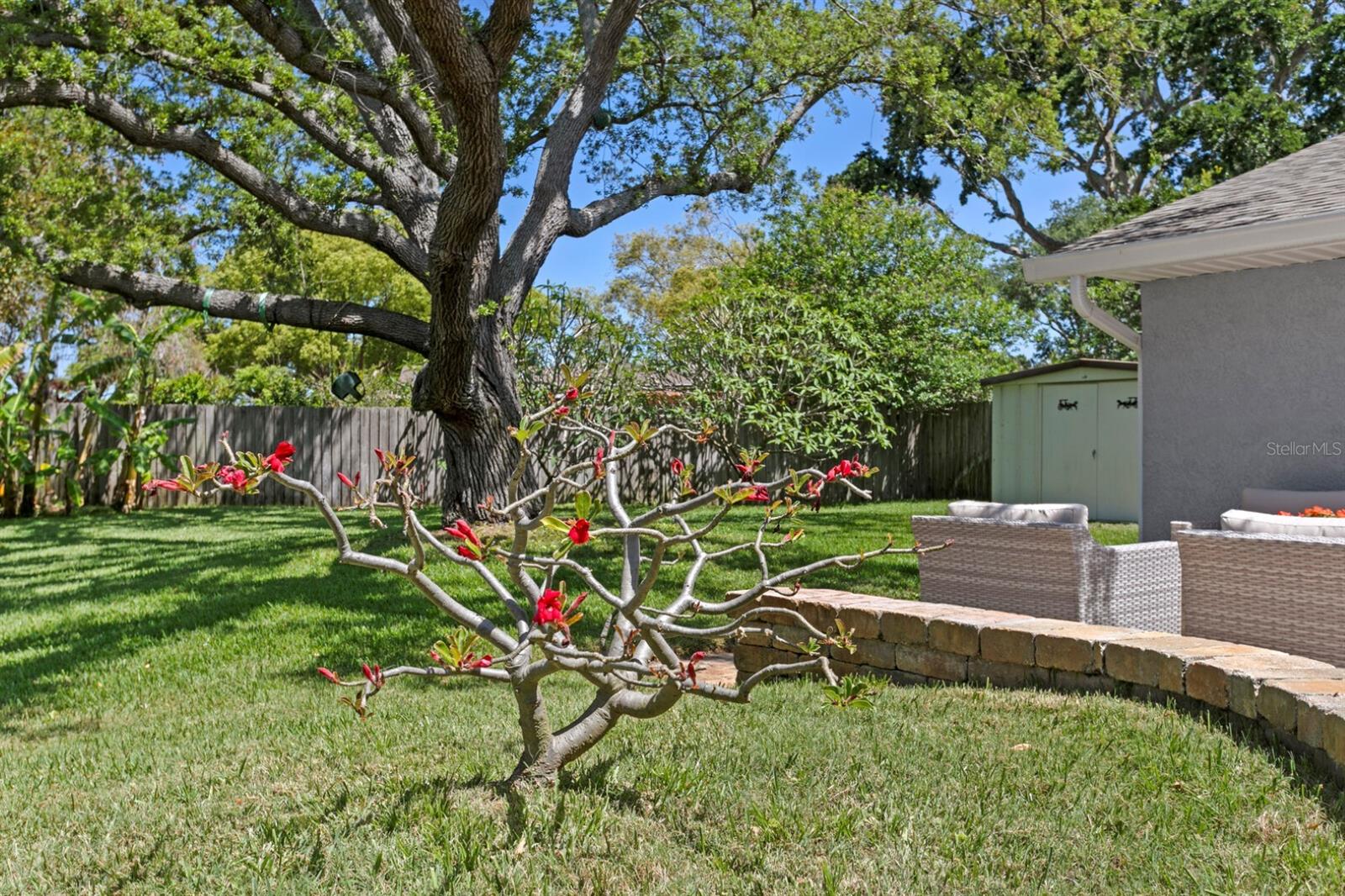 Image 41 of 49 For 8645 Pinetree Drive W