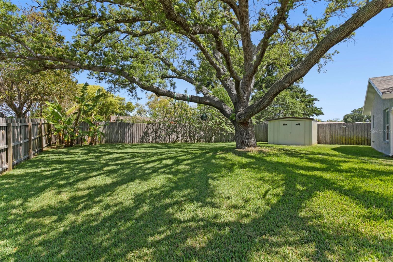 Image 42 of 49 For 8645 Pinetree Drive W