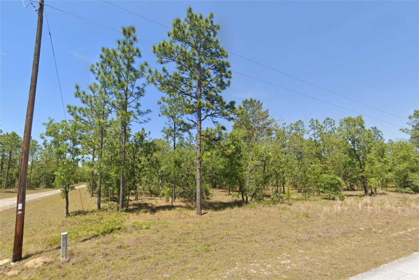 Details for Lot 31 133rd, DUNNELLON, FL 34431