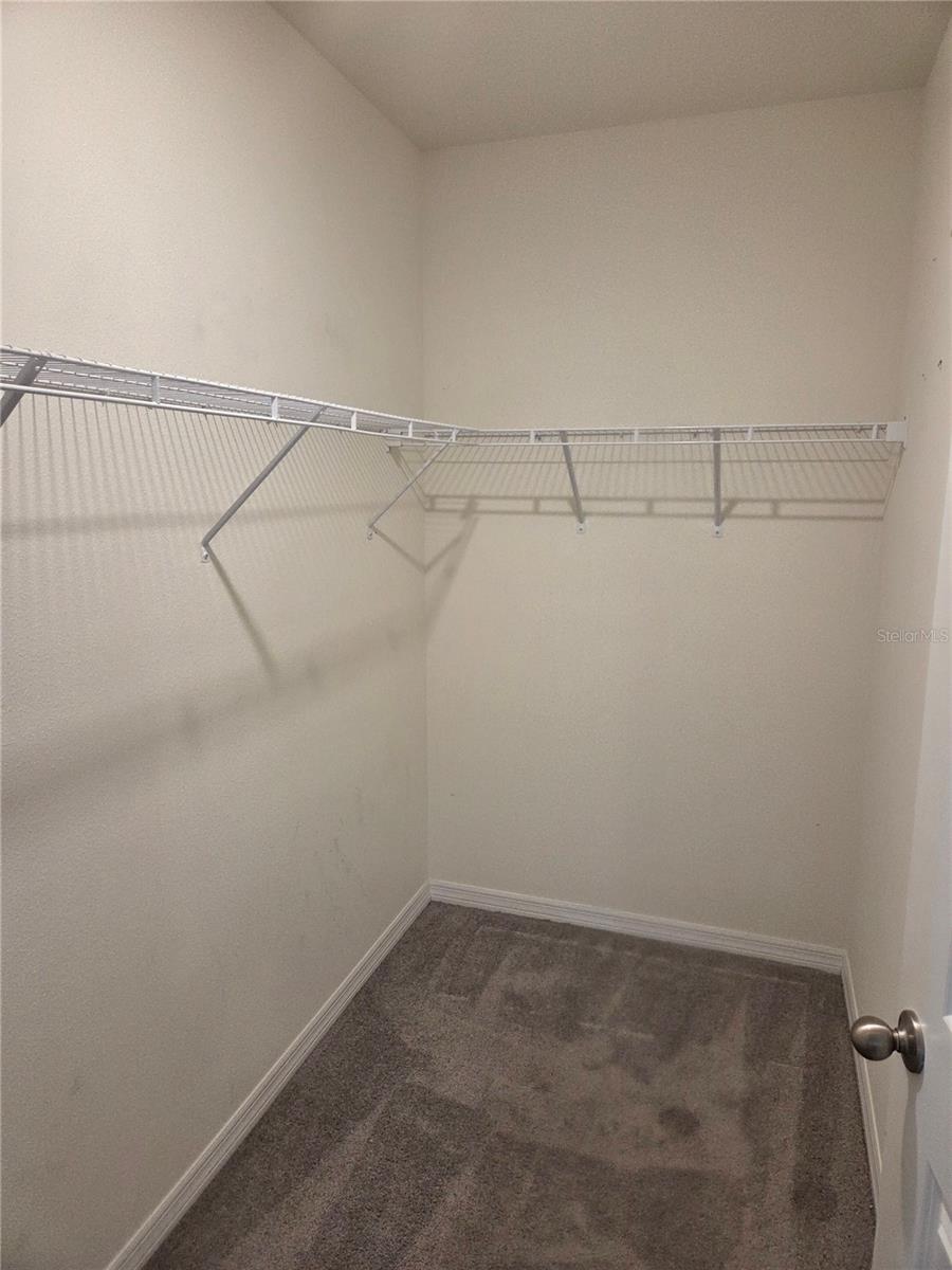 Image 9 of 9 For 17007 Blister Wing Drive