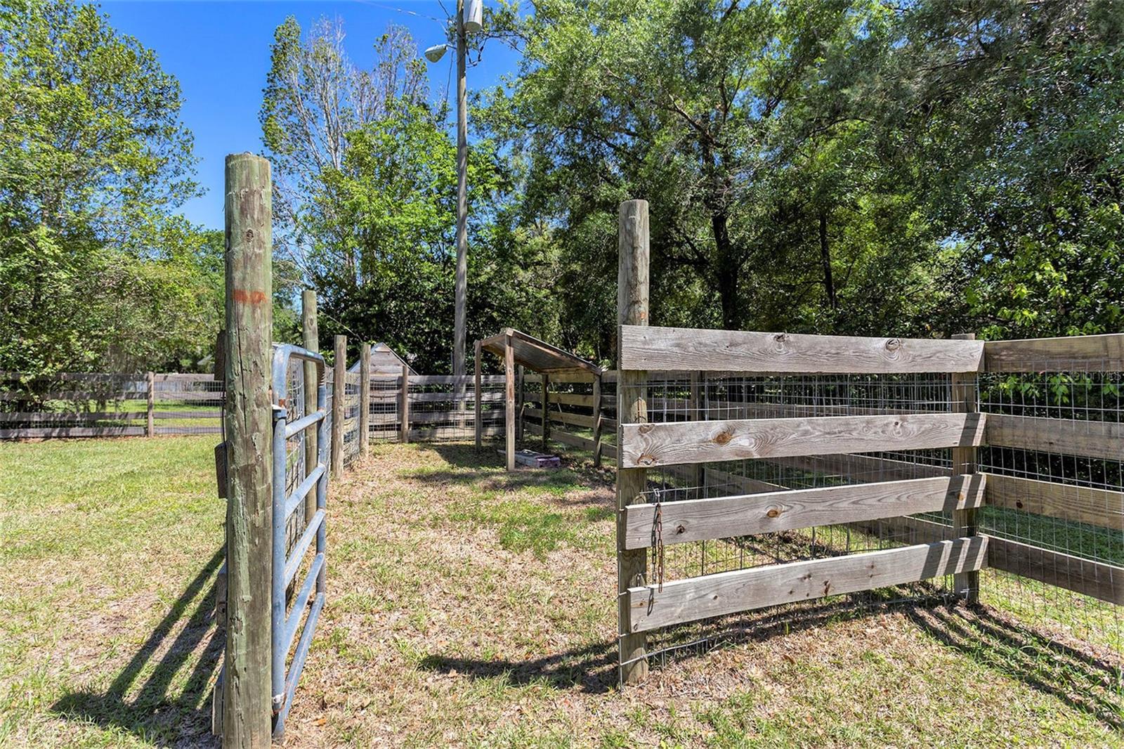 Image 28 of 35 For 9105 Zanmar Drive