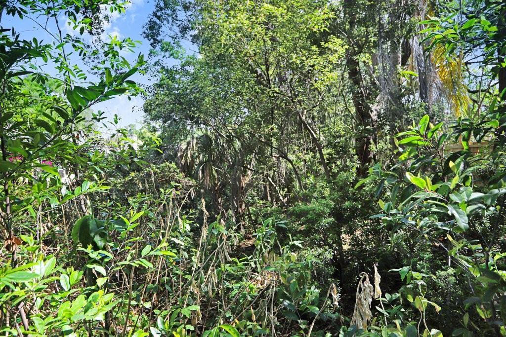 Image 24 of 26 For 14931 Old Pointe Road